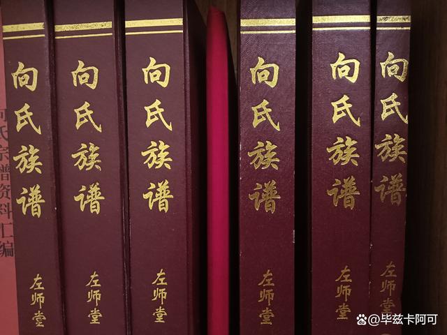 向姓最新人口统计与解析