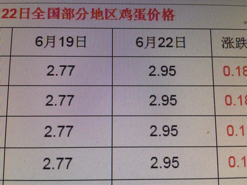 全国鸡蛋今日价格最新动态分析