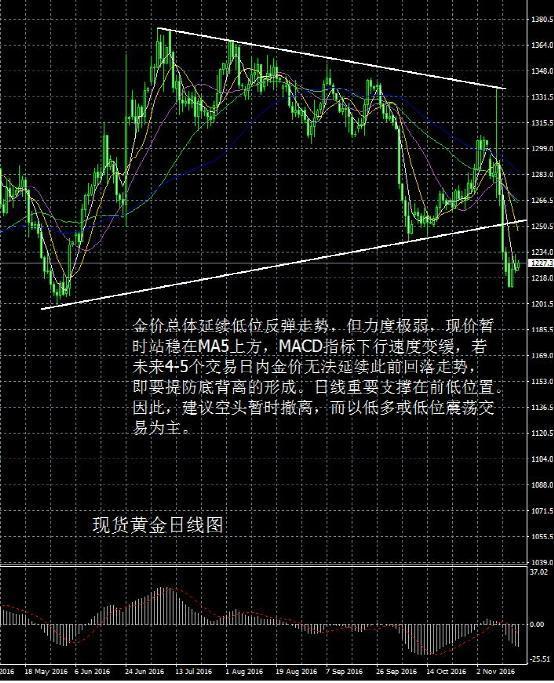 黄金市场动态，黄金最新价格今日走势分析