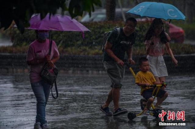 公主岭最新台风，风雨中的守护与挑战