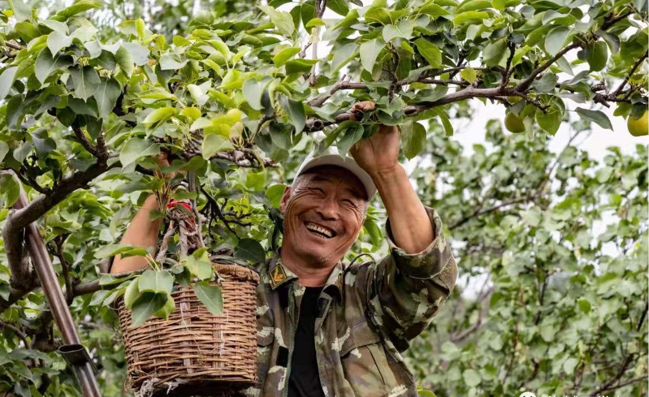 茄子最新app免费下载，便捷生活的新选择