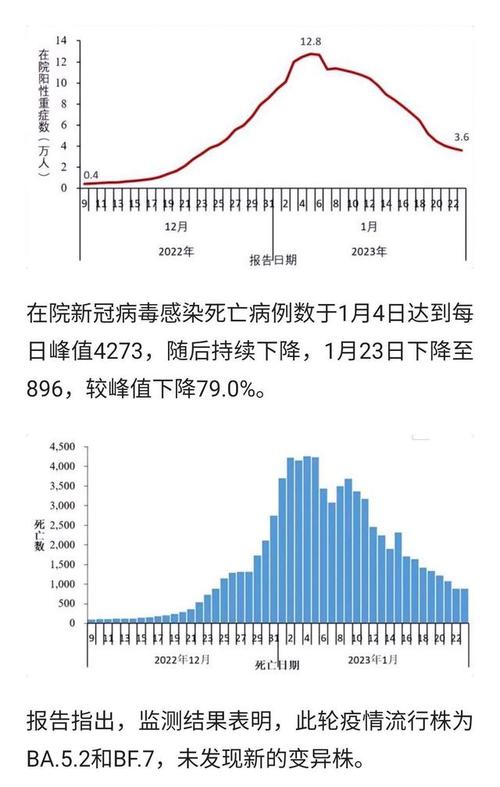 全国最新疫情实况更新