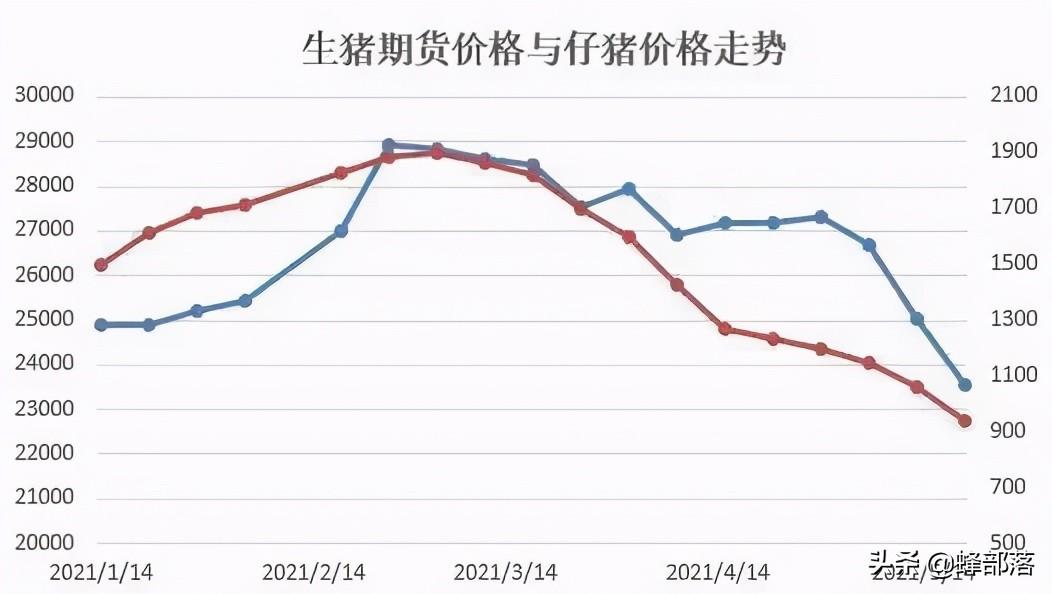 猪价最新行情全国分析报告