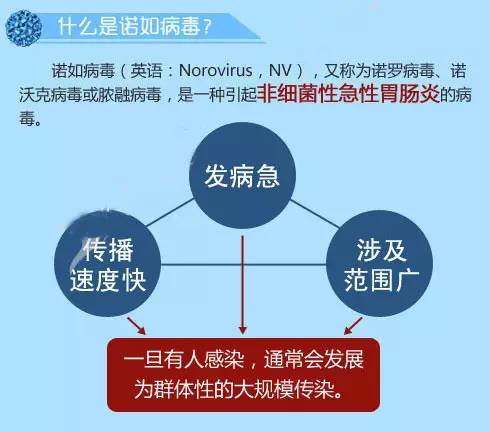 诺如病毒最新感染，了解、预防与应对