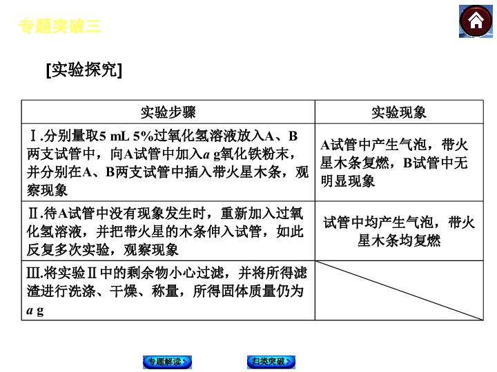 最新骨格称命，探索命运的新视角