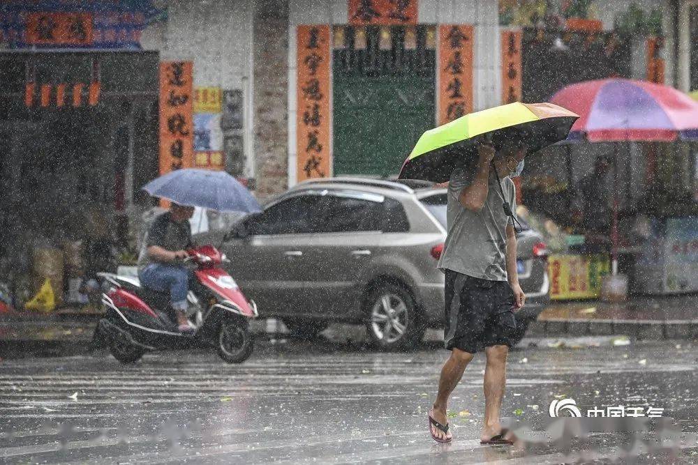 最新台风消息广东鹦鹉