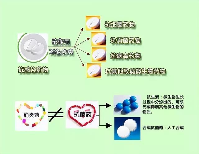 最新抗菌素，未来医疗的守护者