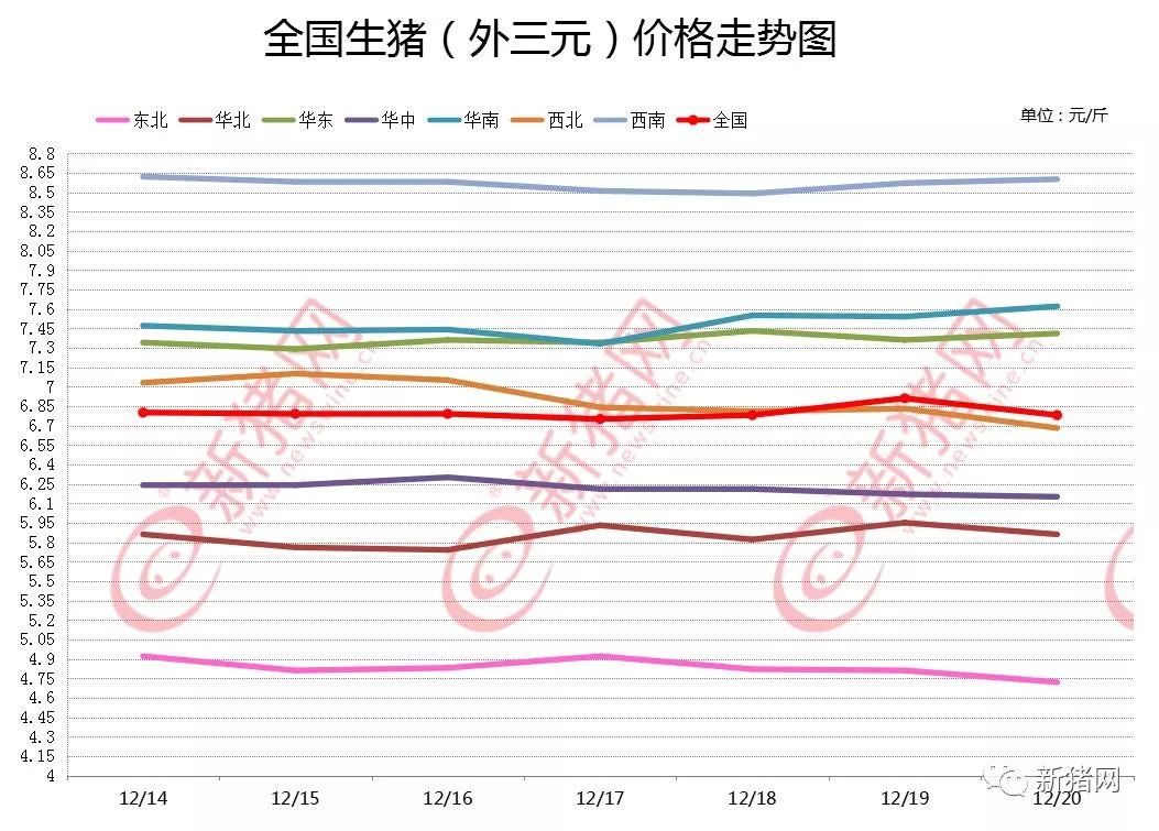 明天猪价最新价——市场动态与价格趋势分析