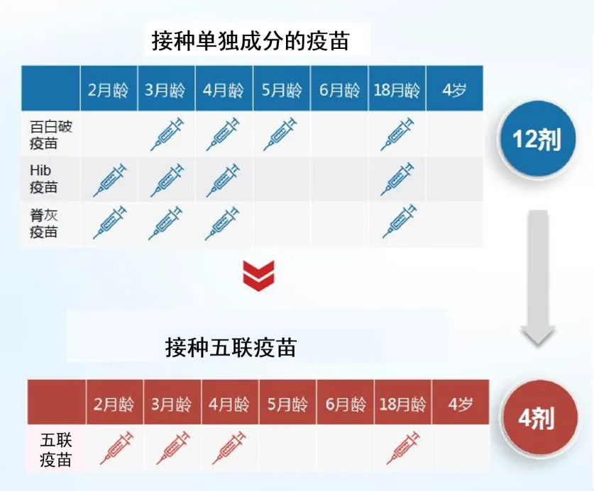 全球疫苗接种最新规定，保障健康，共筑免疫屏障