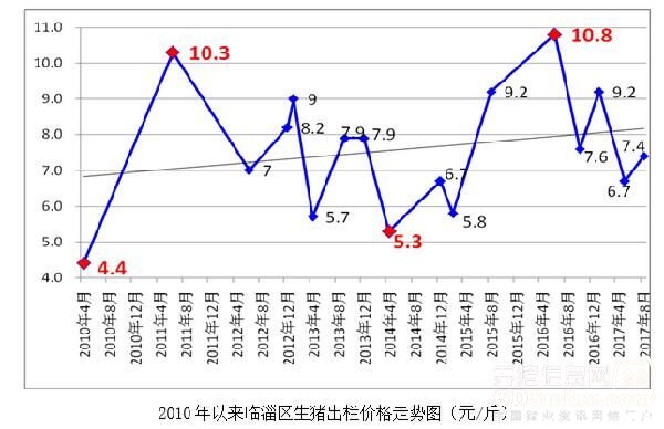 山东生猪市场行情分析，最新猪价走势观察