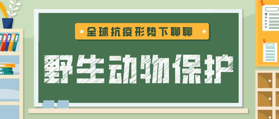 最新开学安排山东，开学季的细致规划与期待