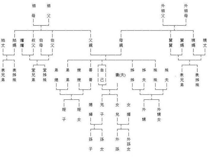 最新亲戚关系的探索与解读