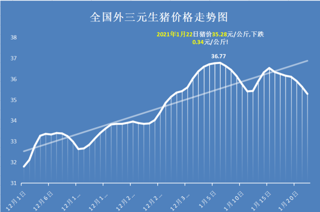 明日猪价预测最新，市场动态与趋势分析