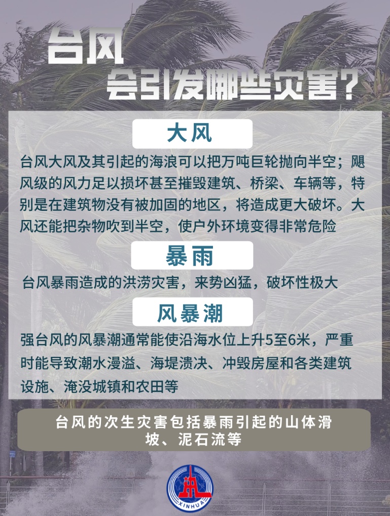 海口台风最新预警信号的深度解析与应对策略