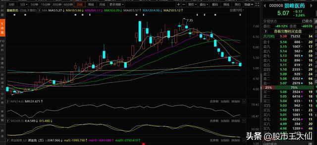 运鸿最新情况深度解析