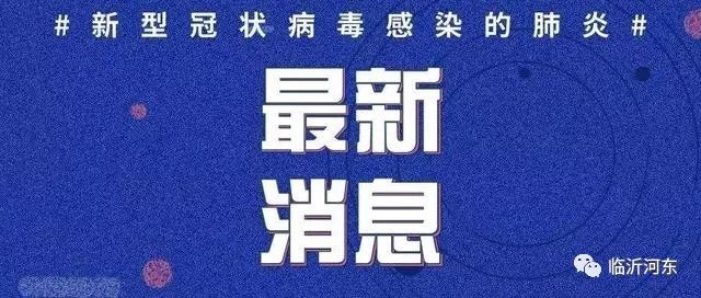 冠状新型肺炎最新报告，全球疫情动态与防控策略